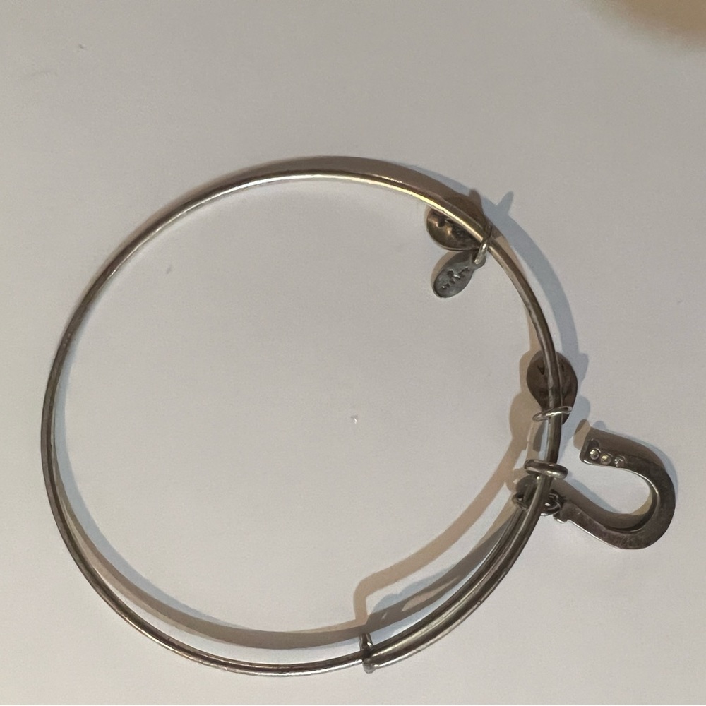 alex and Ani horseshoe with gems.